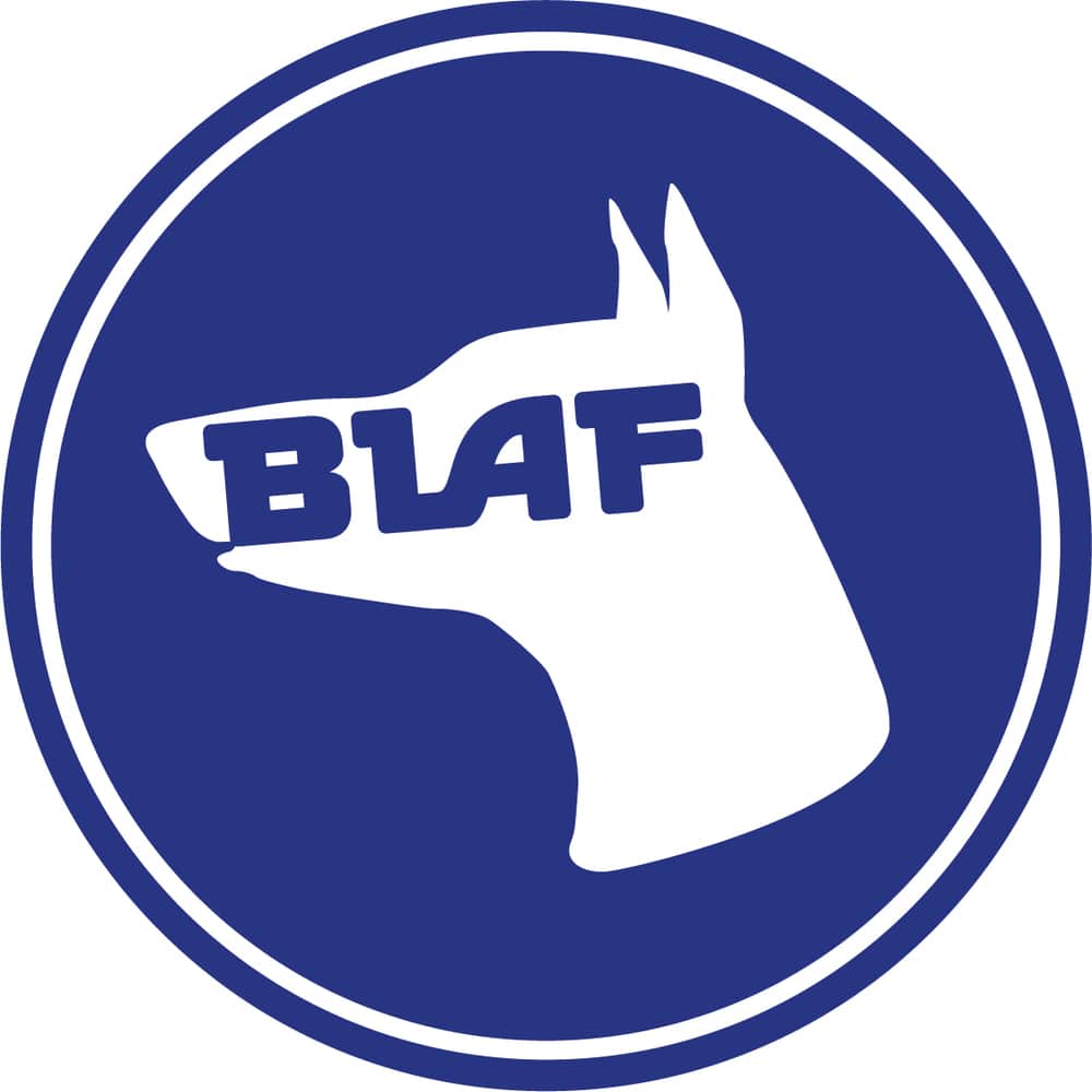 这是BLAF建筑公司的标志。