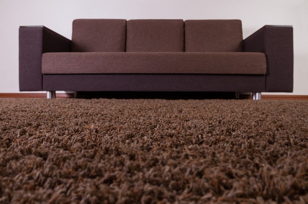 这是一个客厅的棕色地毯和沙发的近距离观察。