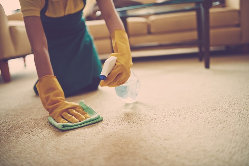 一个女人正在用醋和抹布清理地毯。