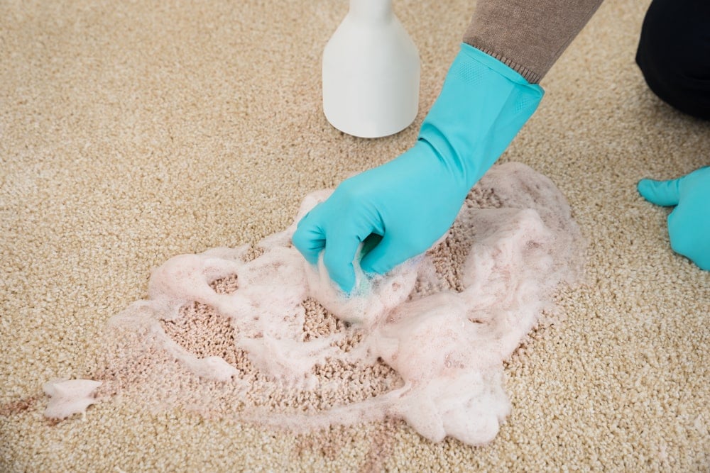 一双戴着手套的手正在用肥皂清洗地毯。