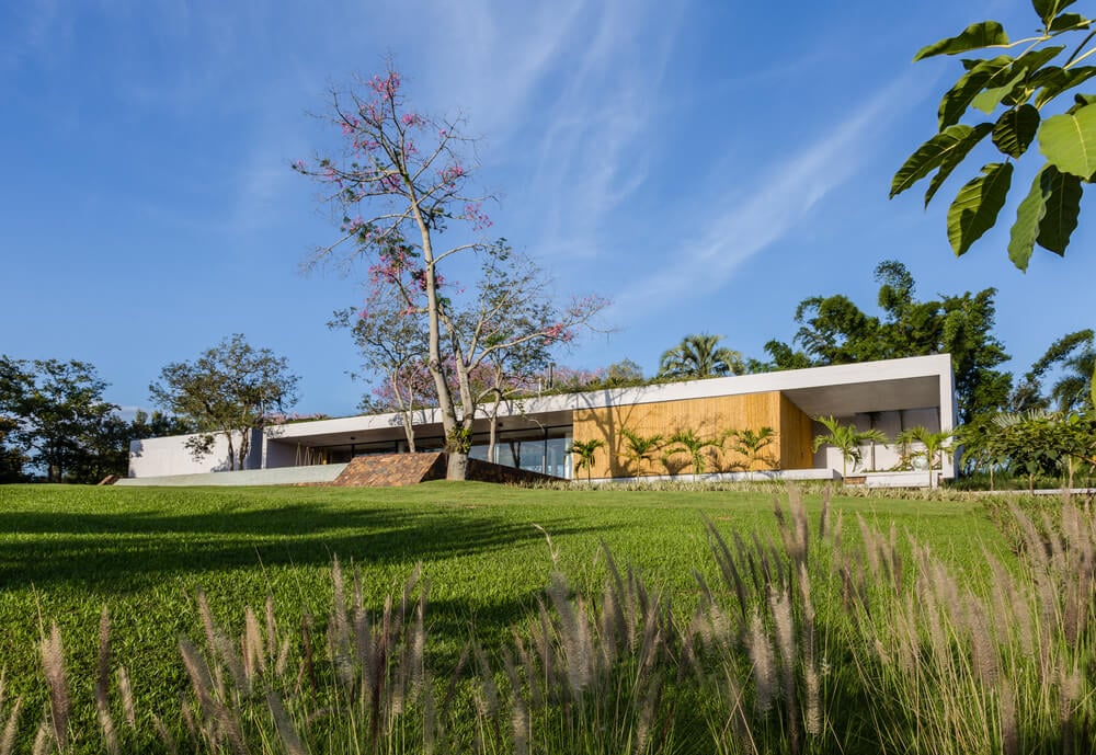 这座现代化的房子装饰着郁郁葱葱的景观，有树木、灌木和一片大草坪。