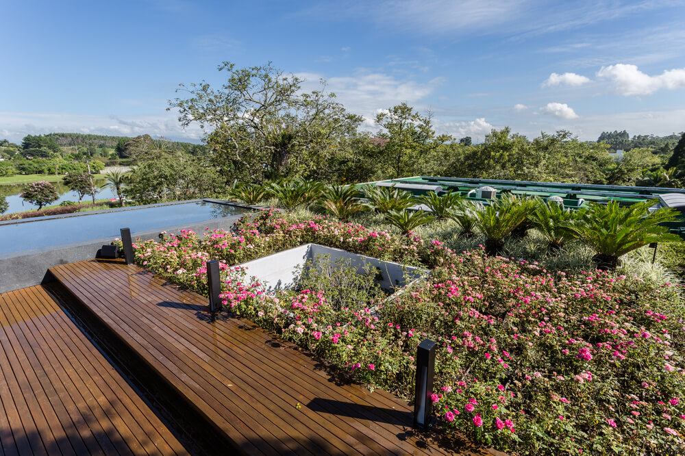 屋顶花园也有开花的灌木和热带植物。
