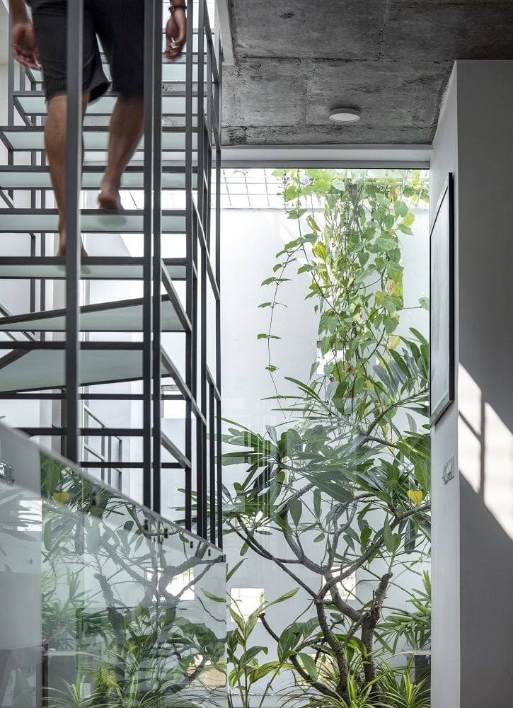 这是另一个视图的现代独特的楼梯装饰着树木和植物。