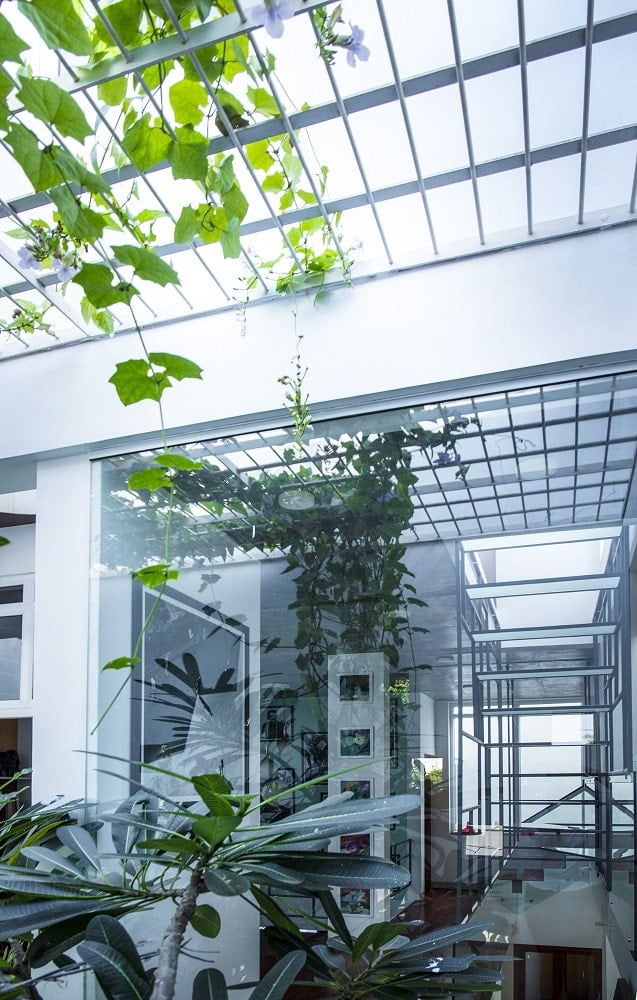 室内花园的这是一个视图与一个开放的天花板烤架和爬行藤蔓和玻璃墙。
