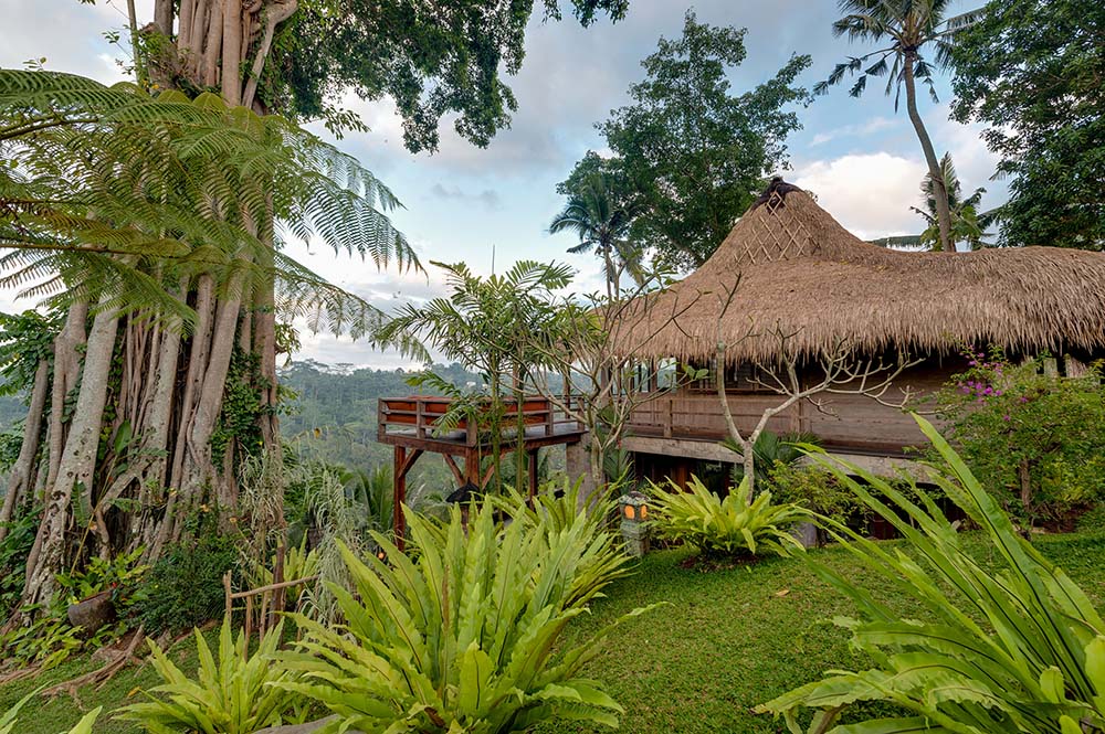 这是一个热带景观，围绕着各种热带灌木和树木的房子。