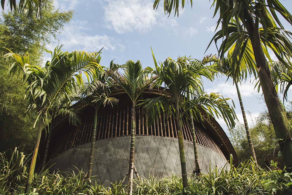 这是房子的外观，展示了热带树木。混凝土结构和上面的竹烤架。