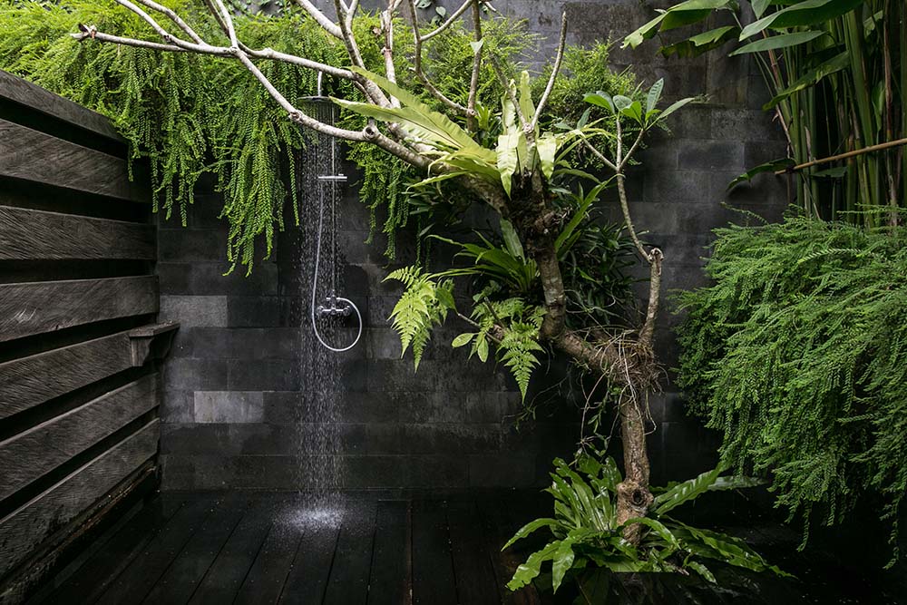 这是室外淋浴区，装饰着一棵装饰性的乡村树，旁边有蕨类植物和灌木。
