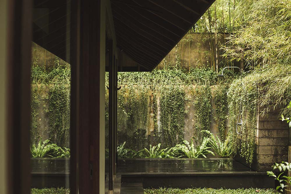 这是室外淋浴区的另一个外观，两侧有蔓生的藤蔓、蕨类植物和灌木。