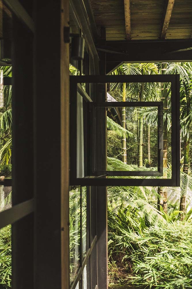 这是一个近距离的玻璃窗户，打开外面郁郁葱葱的景观，有热带灌木，树木和竹子。