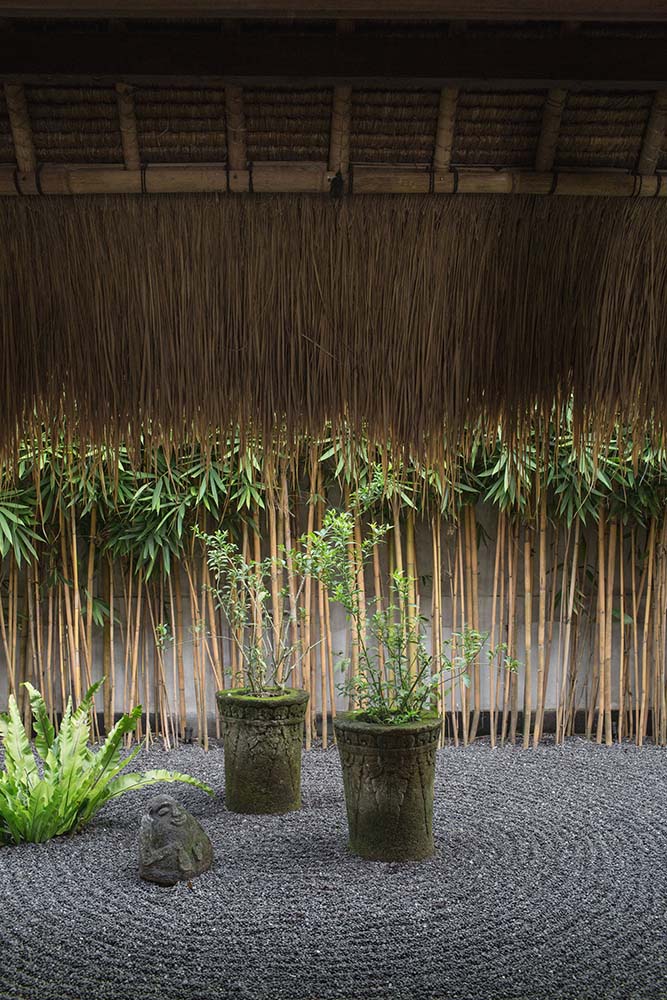 这是一个近距离观察竹子的禅意花园对面的墙上和盆栽植物。