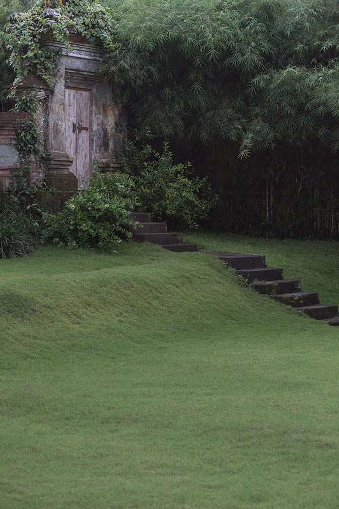 这是一个近距离观察房子的草坪的具体步骤和人行道辅以灌木和树木。