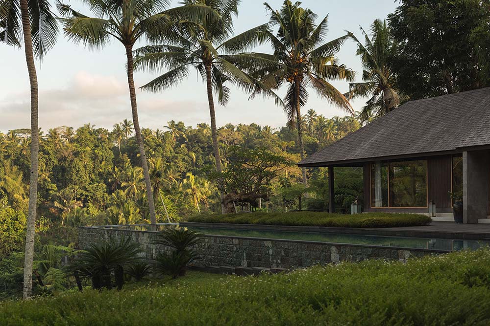房屋一侧的马赛克石墙支撑着房屋一侧的无边泳池，可以看到树梢和高大的热带树木。