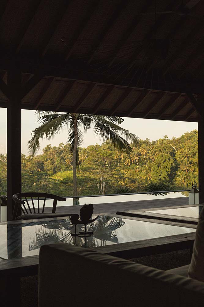 这是从客厅沙发的有利位置看到的景色，展示了室外泳池边区域的热带树木。