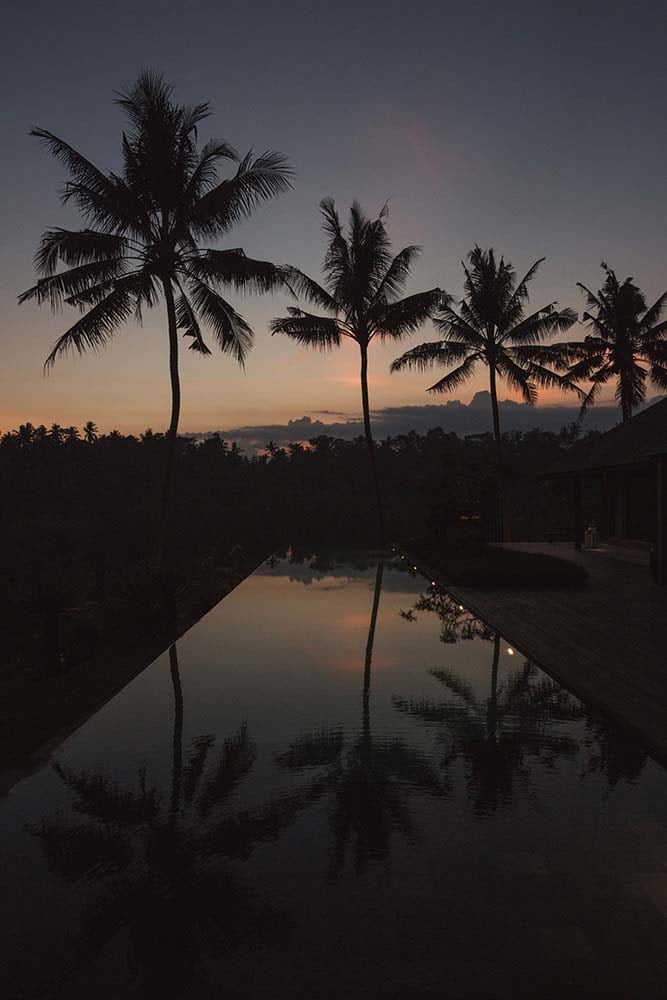这是无边泳池的夜景，展示了高大的热带树木的剪影。