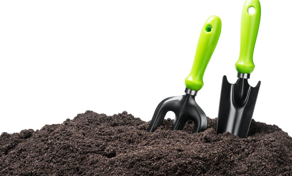 仔细观察土壤和一些园艺工具。