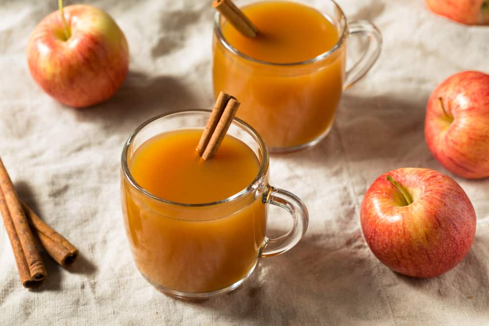 一杯加肉桂棒的苹果果汁。