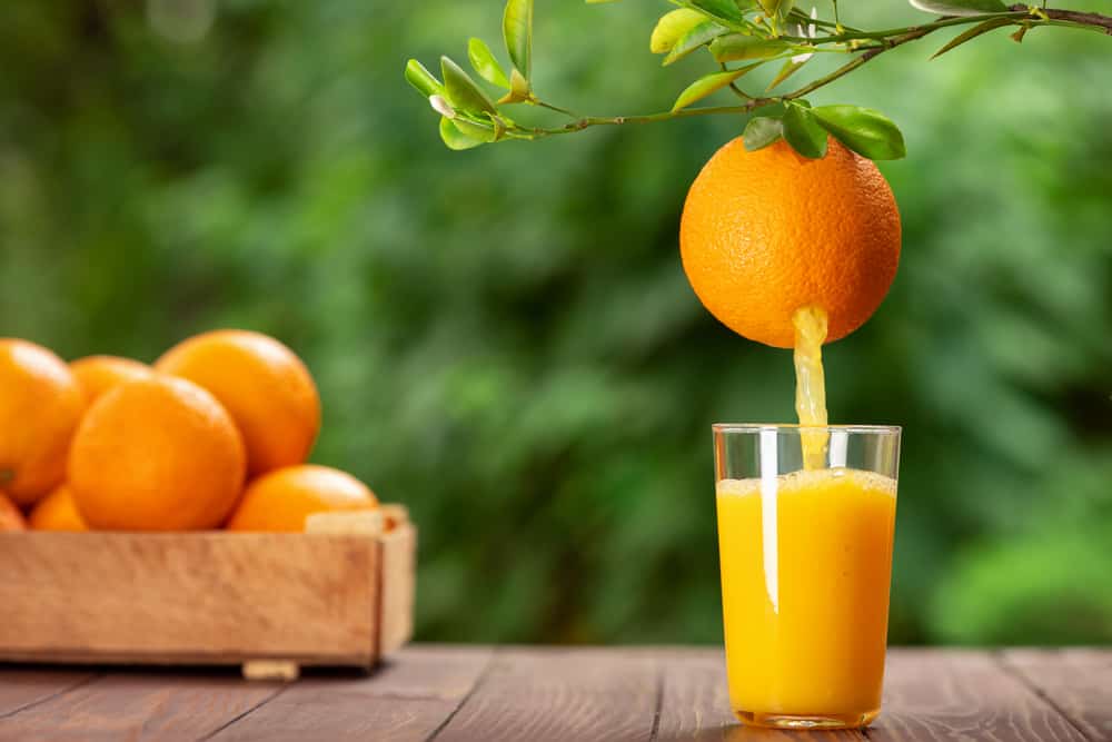 鲜榨橙汁直接倒进玻璃杯的图形图像。