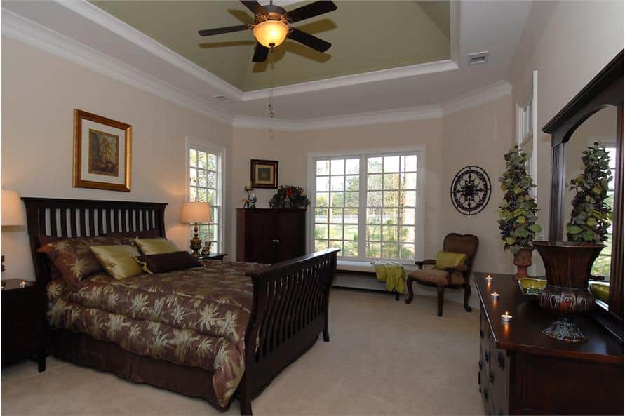 主卧室有深色木家具，地毯地板，和一个装有风扇的托盘天花板。