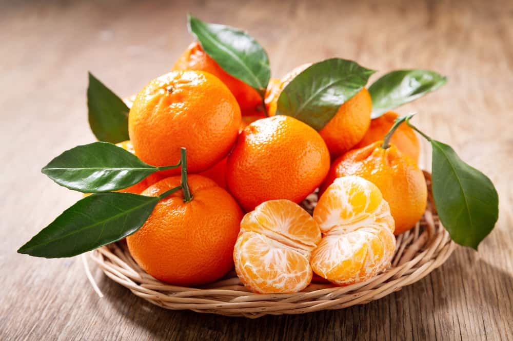 这些都是新鲜和成熟的橘子在篮子里。