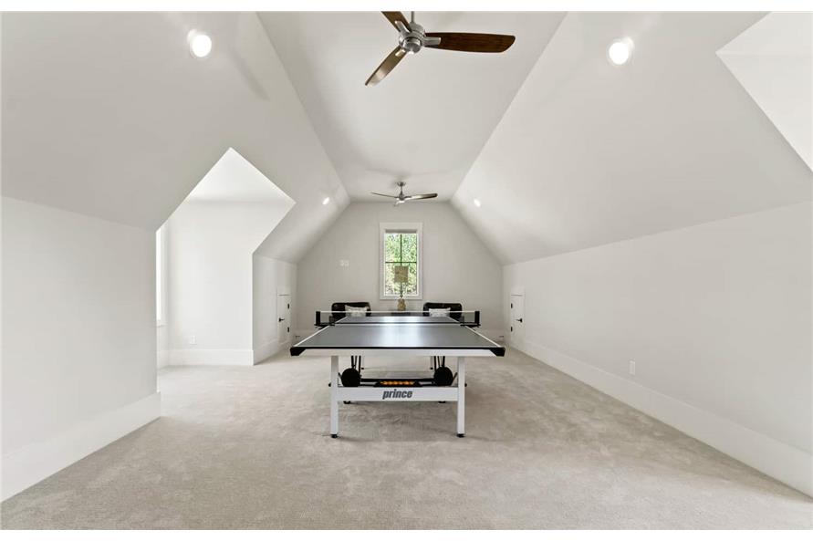 附赠房间有乒乓球桌，吊扇安装在凹形天花板上。