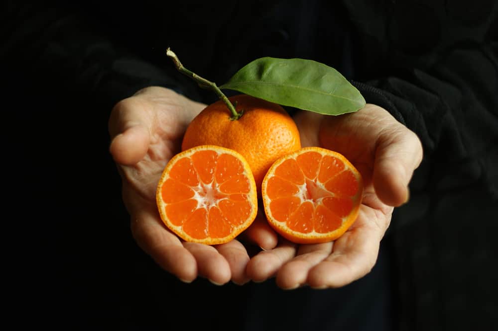 这是一个近距离观察的橙子，用双手切了几片。