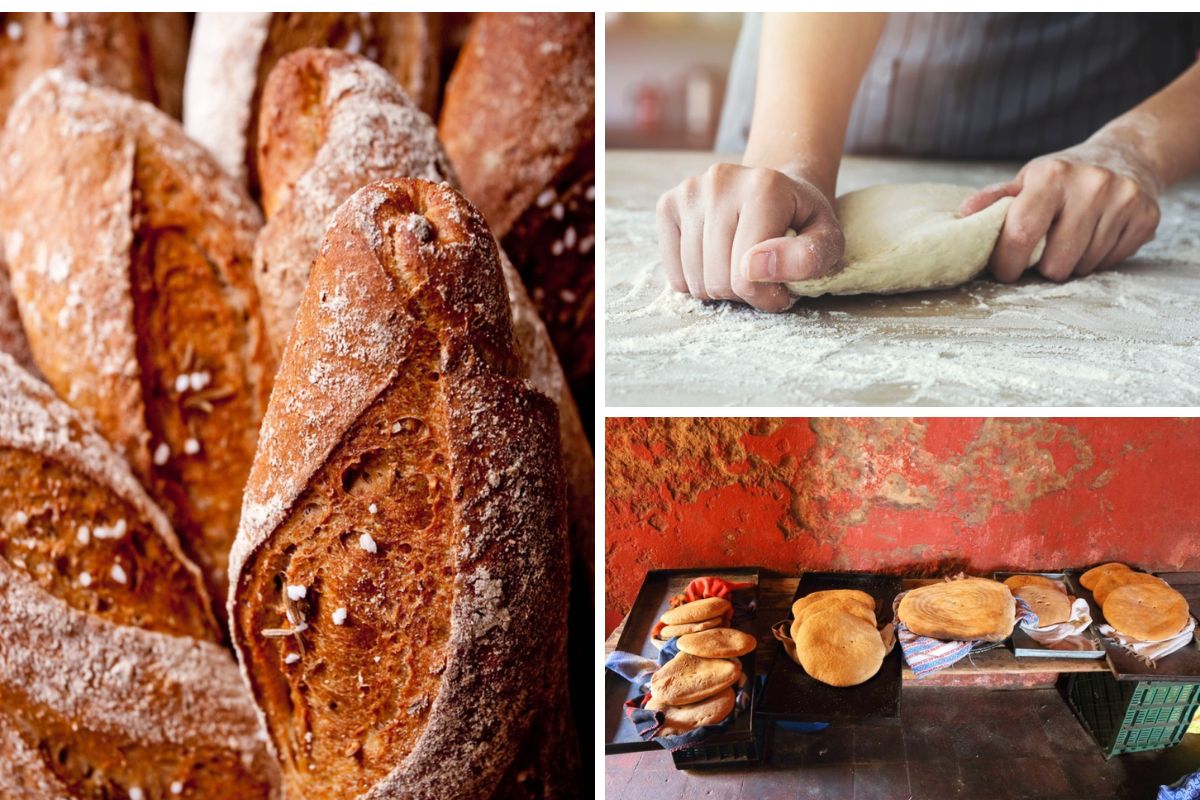 摩洛哥埃尔贾迪达的一家公共面包店里，棕色的长棍面包、揉好的面团、刚从烤箱里拿出来的新鲜面包的拼贴照片