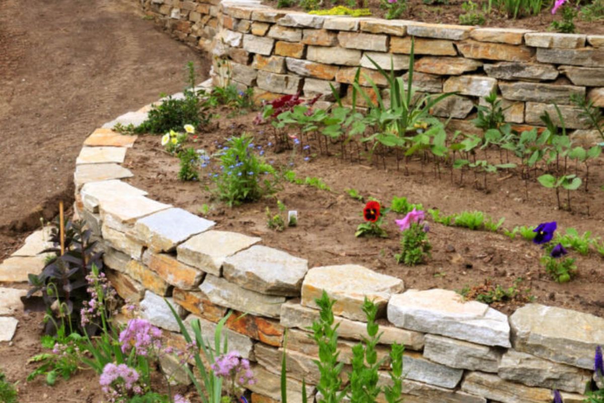 一个有几层花园和新植物的新花园。石头挡土墙将把这些安排分开。