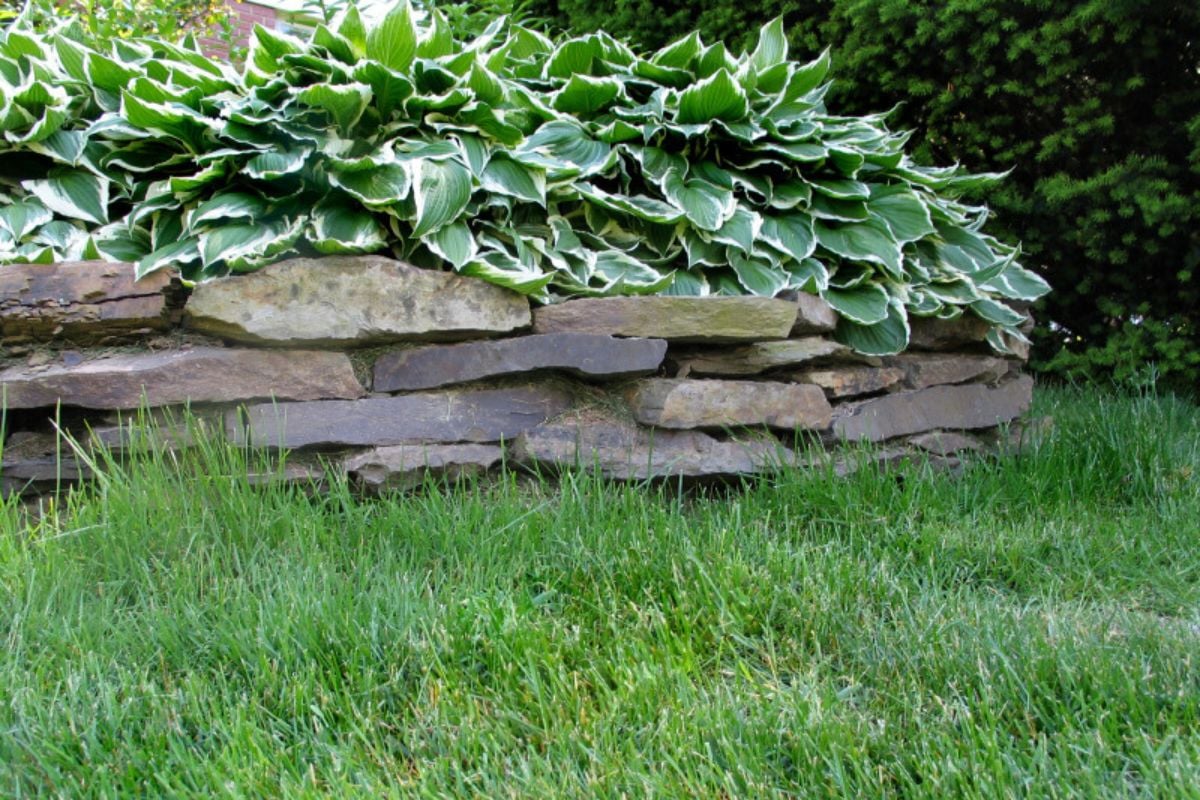 堆叠的薄石板在景观和草地之间创造了一个自然的、简单的屏障。