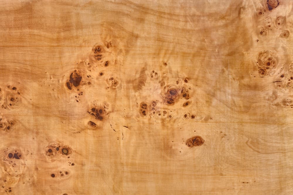 木板与杨树瘤单板。