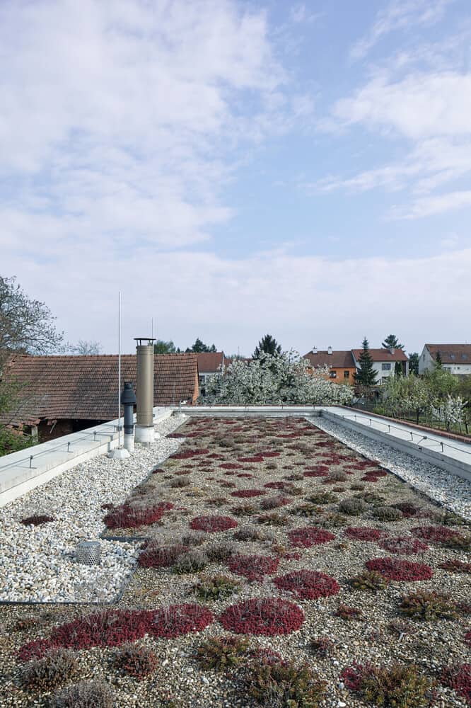 这是屋顶花园和开放区域的视图，展示了一个简单的景观。