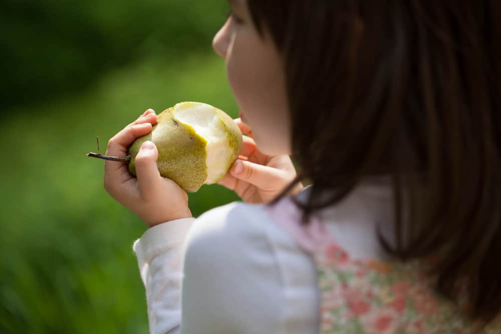 小女孩吃梨。