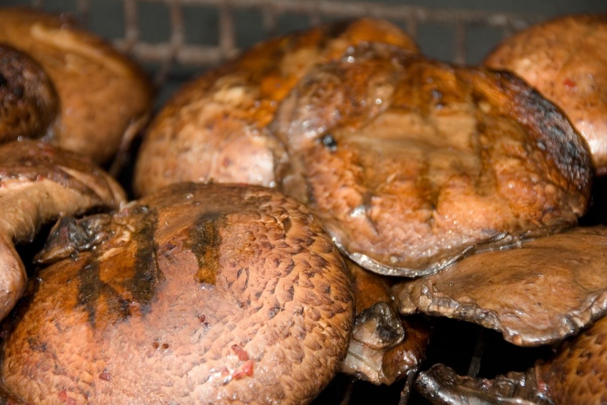 美味的烤Portobello蘑菇。