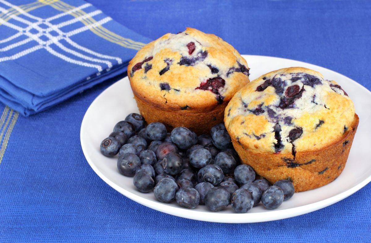 蓝莓松饼和蓝莓放在盘子里。