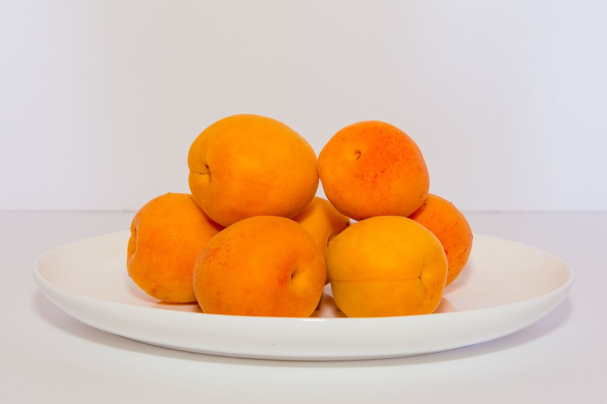 白色盘子里的维苏威杏。