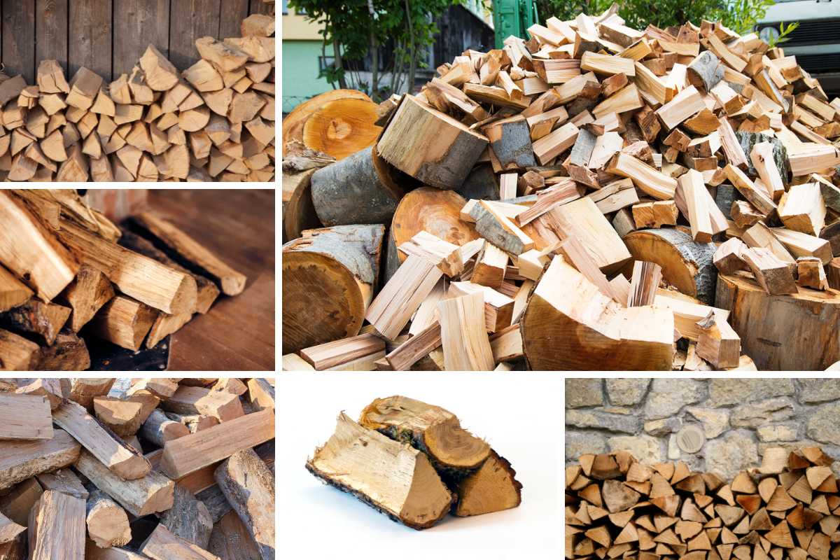 不同类型木柴的照片拼贴。