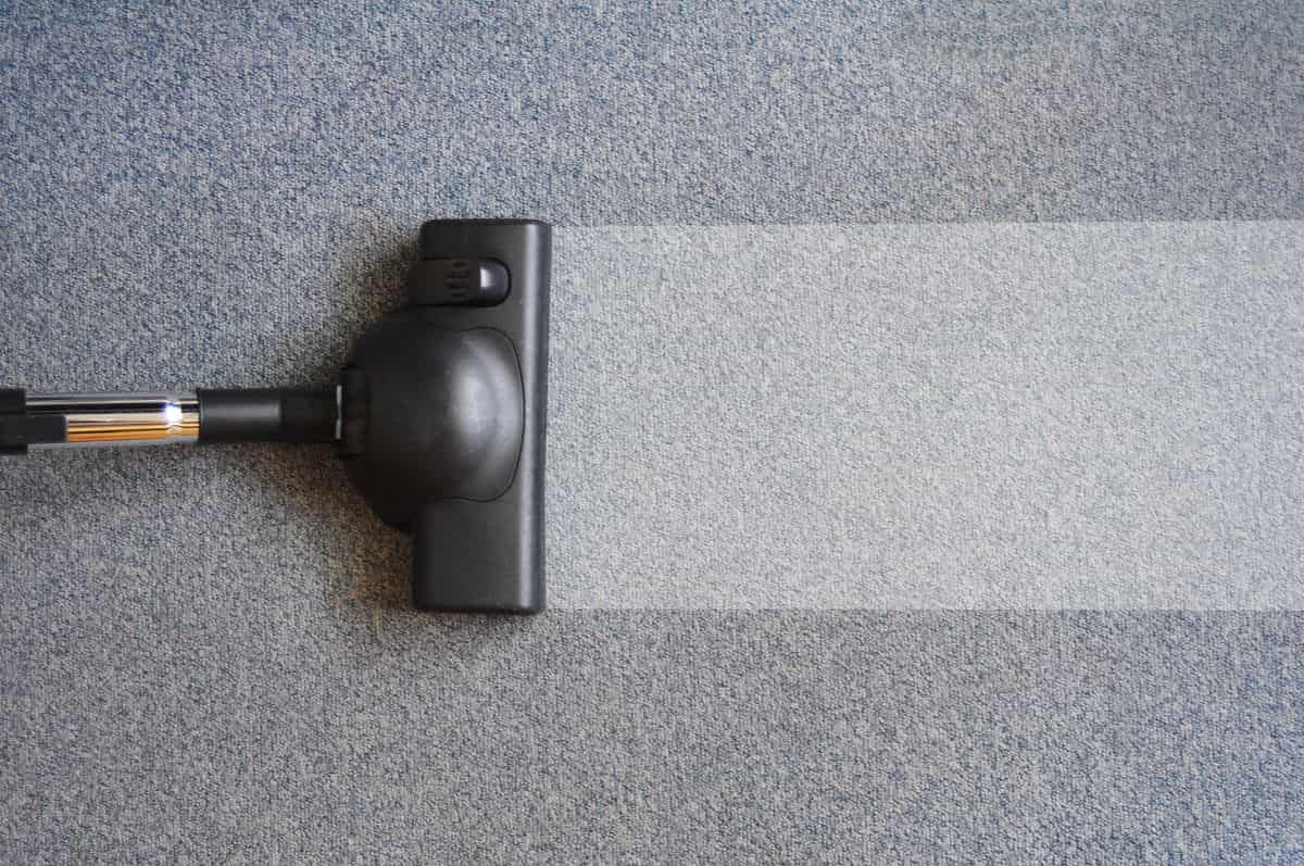 黑色地毯清洁剂清洁灰色地毯