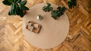 木质地板上的圆形地毯和室内植物。