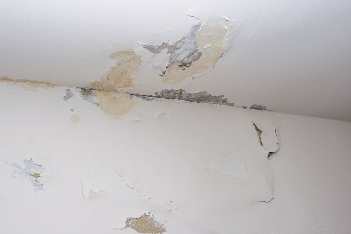 水或潮气损坏天花板和墙壁。