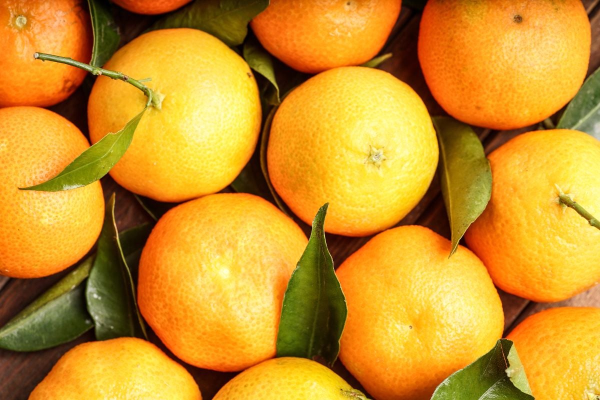 新鲜的小柑橘和干叶子。