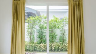 黄色窗帘周围滑动玻璃门与植物的背景和白墙