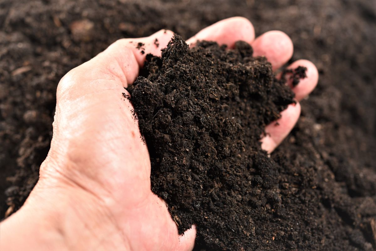 园丁的手沾满了黑土。
