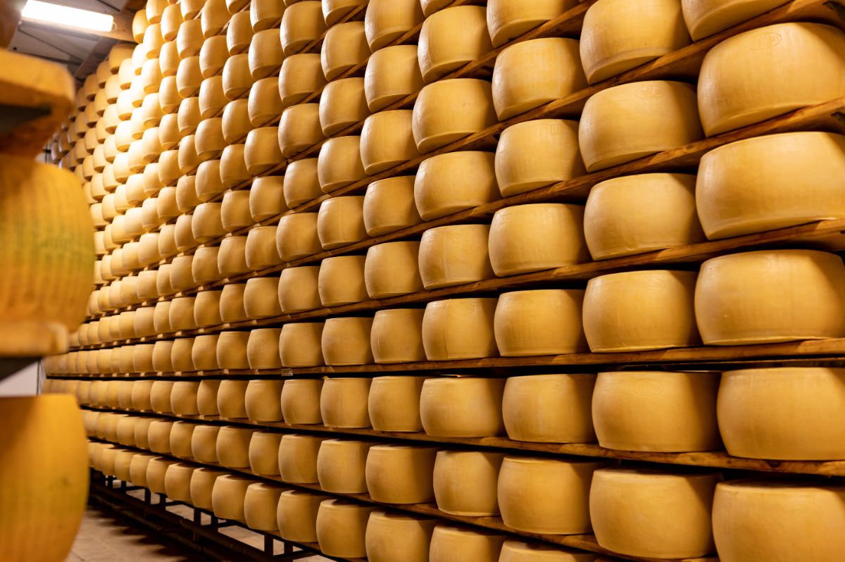 帕尔玛干酪在仓库里储存奶酪。