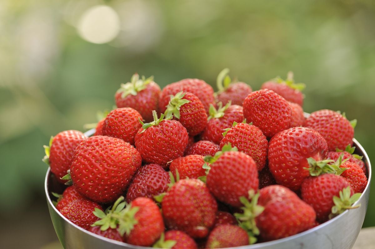 一碗新鲜的蜂蜜草莓。