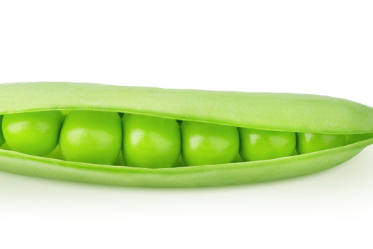 绿色豌豆荚的特写，豆子孤立在白色背景上。