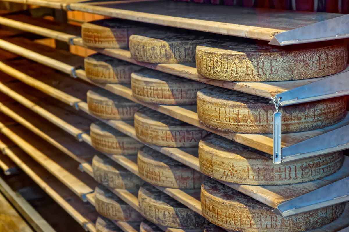 熟透的奶酪放在仓库里。