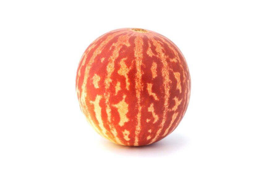 颜色独特的甜瓜被称为跳跳瓜，它的红色和橙色条纹颜色孤立在白色背景中。