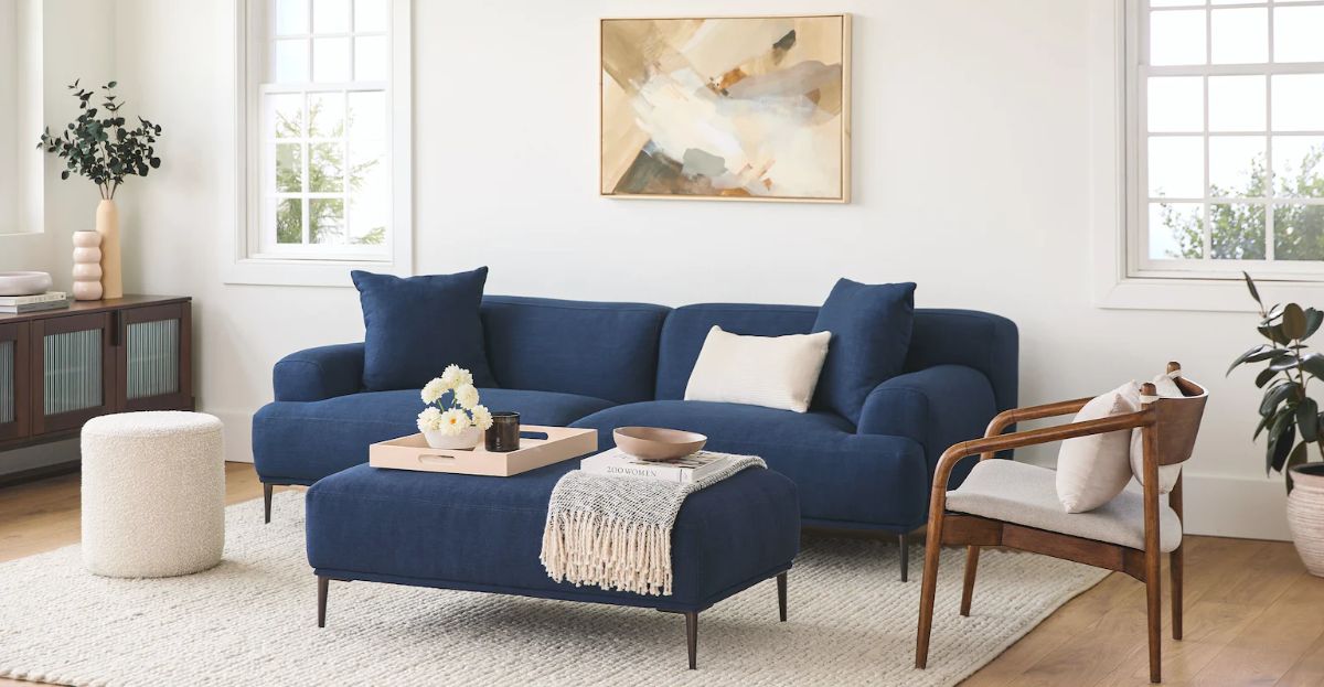 可爱的阿比斯科沙发由文章在明亮的客厅设置