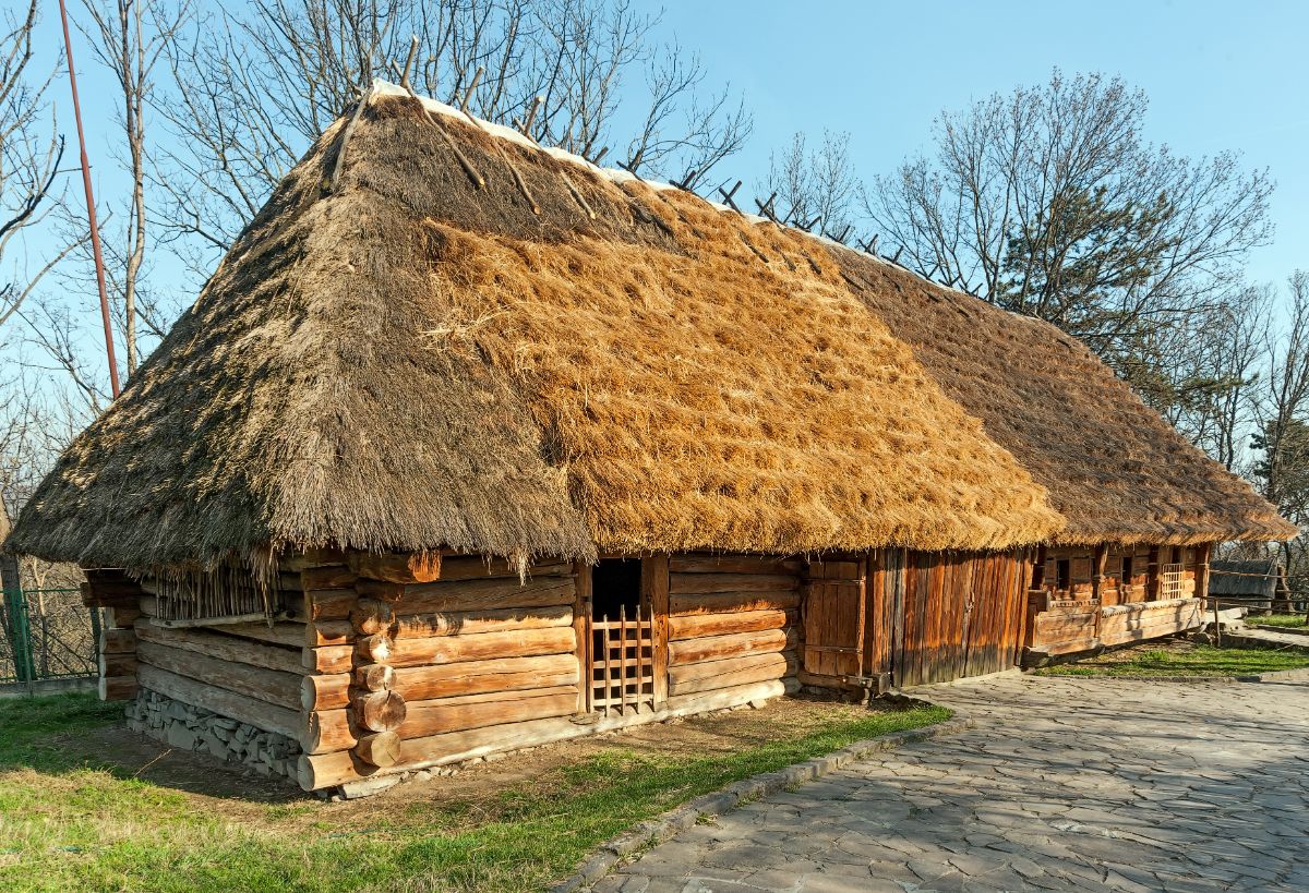 森林里有茅草屋顶的小木屋。