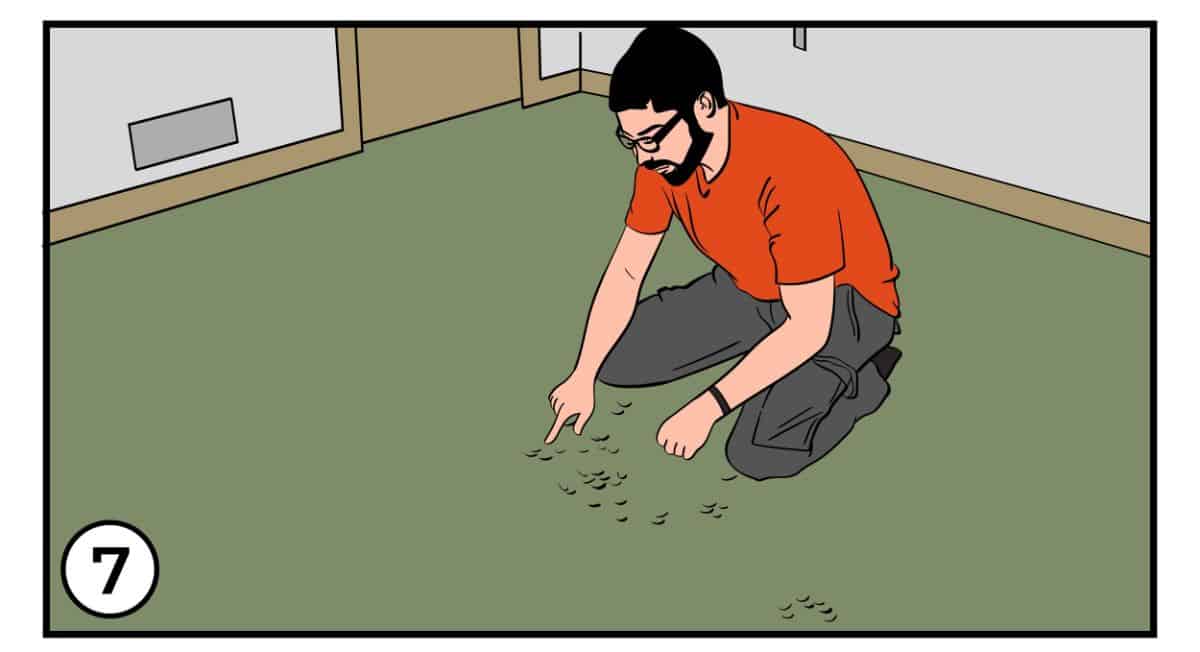 如何移除房间地毯-第七步:拉起下层或填充物