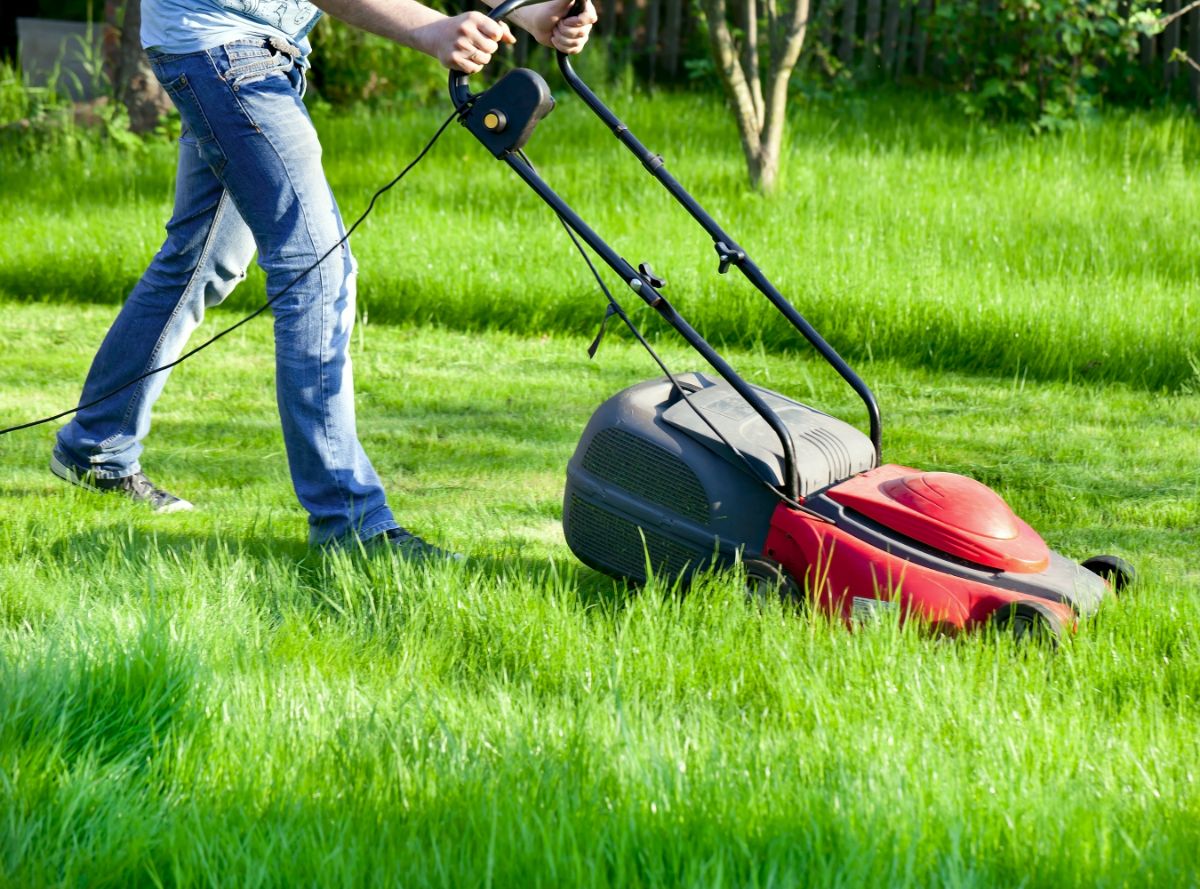 一个人在用电动割草机割草坪。
